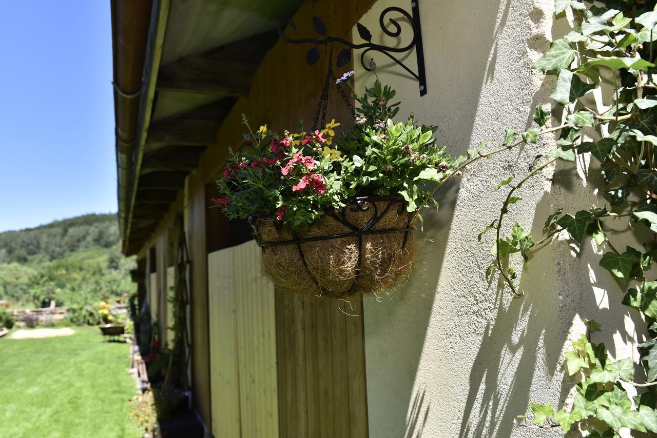 Selsky Dvur Apartment Kajov Exterior photo